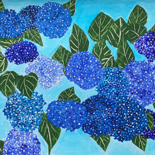 Blue Hydrangea