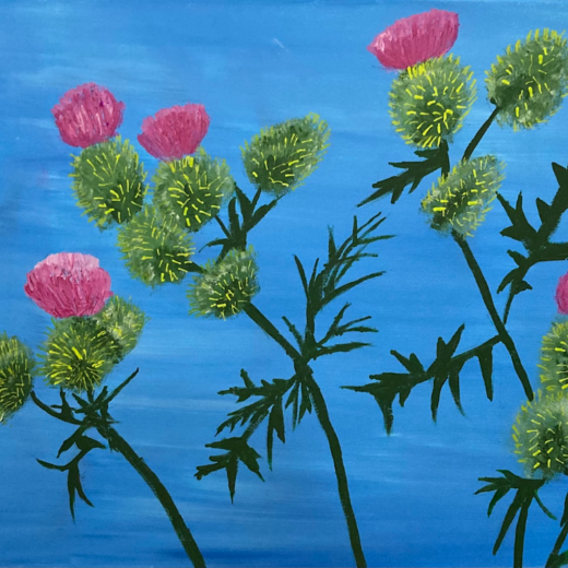 Thistles in Flower