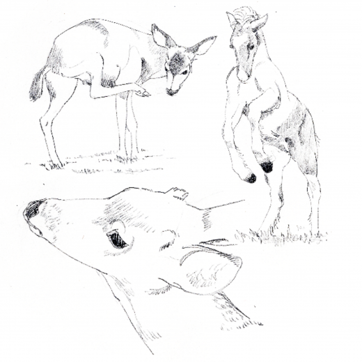 Please add a caption or leave blank to remove